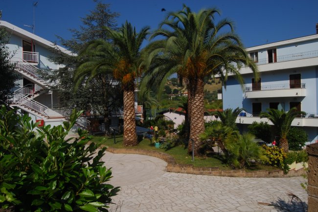 Cortile con palme e edifici bianchi a più piani.
