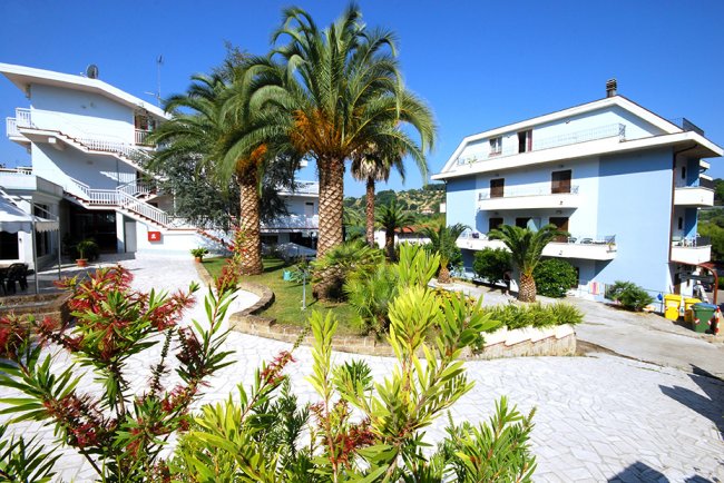 Esterni di un edificio con palme e giardino.