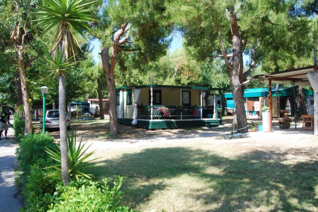 Casetta in un campeggio tra gli alberi.