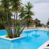 Una piscina con palme al centro, circondata da sdraio e un giardino curato.