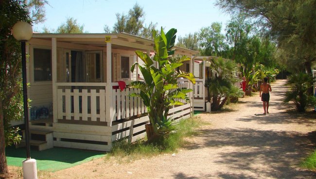 File di bungalow con terrazze e piantagioni verdi.