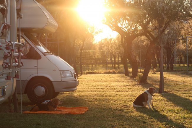 Camper con due cani, al tramonto.