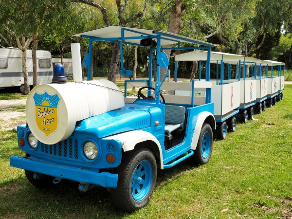 Trenino turistico blu e bianco in un parco.
