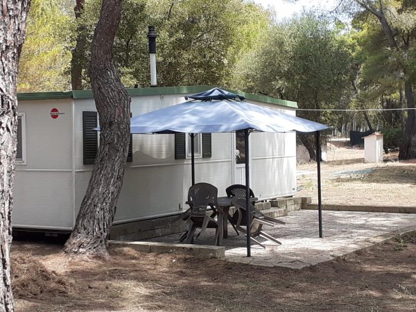 Una roulotte bianca con un ombrellone blu e sedie su un piazzale in una zona alberata.