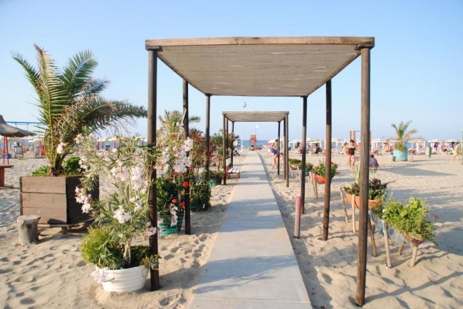 Una passerella in legno su una spiaggia, fiancheggiata da piante.