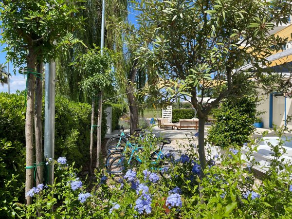 Biciclette appoggiate a un albero, circondate da piante verdi e fiori viola.