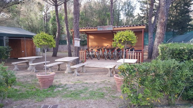 Campeggio Del Forte (LI) Toscana