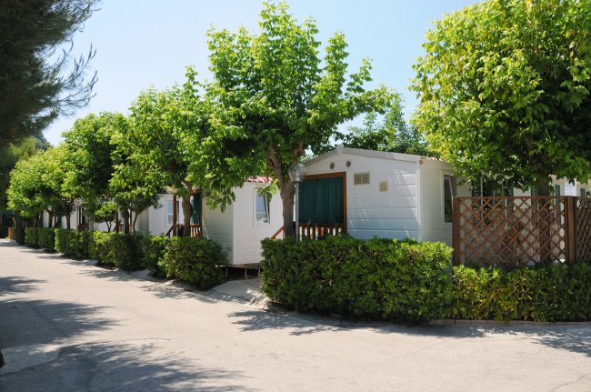 Viale alberato con bungalow bianchi e siepi verdi.