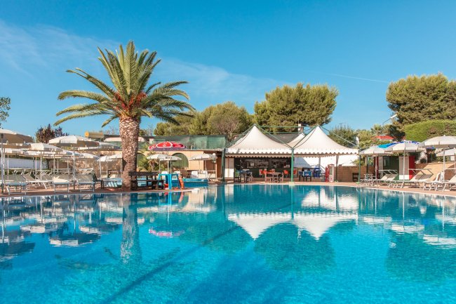 Piscina con palme e sedie a sdraio.