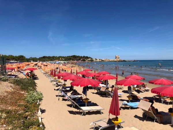 Spiaggia sabbiosa con ombrelloni rossi e mare blu.