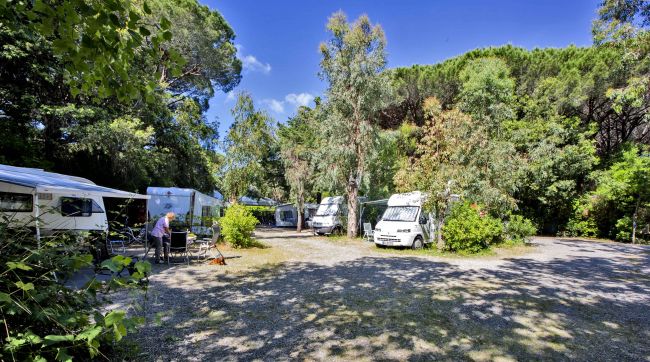 Camping Maremma Sans Souci (GR) Toscana