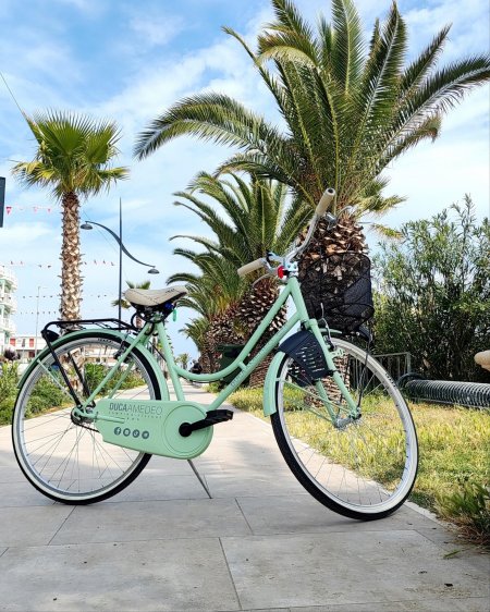 Una bicicletta verde chiaro parcheggiata su una passeggiata con palme.