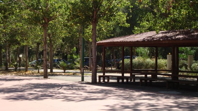Un parco con alberi e una tettoia di legno, con sedute e tavoli, ombreggiata.