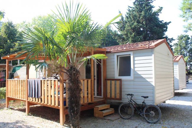 Casetta mobile con veranda in legno, albero di palma e bicicletta davanti.