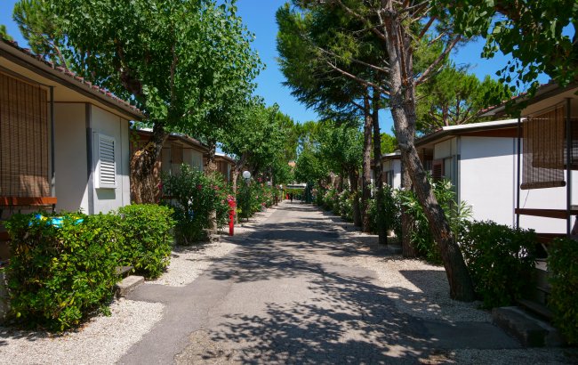 Un viale alberato tra bungalow.
