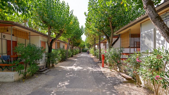 Stradina tra bungalows immersi nel verde, con piante e alberi su entrambi i lati.