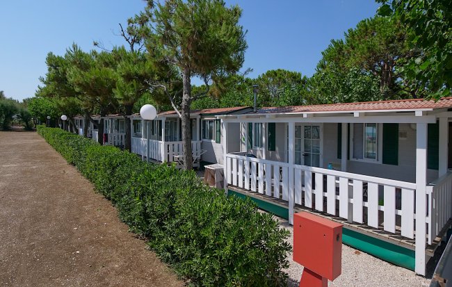 Filare di bungalow bianchi con verande, siepe verde lungo un vialetto sterrato.
