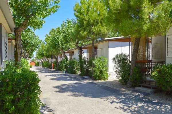 Viale alberato con bungalow su entrambi i lati.