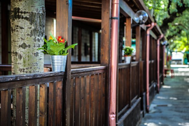 Un patio in legno con vasi di piante e un albero.