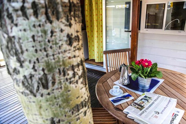 Tavolo in legno con caffettiera, tazza e giornali, all'aperto vicino ad un albero.