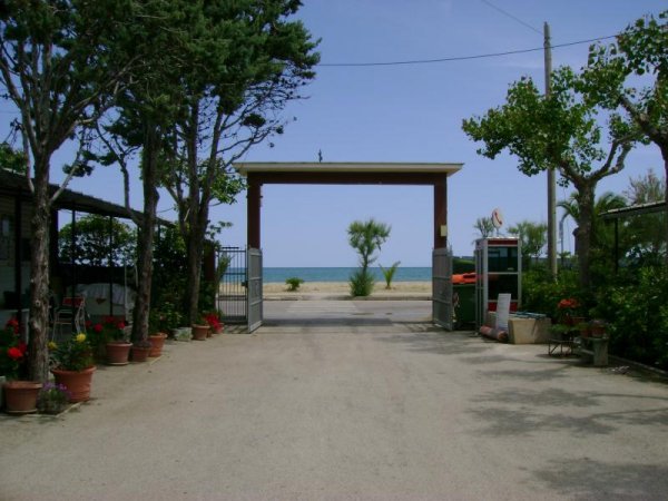 Cancello aperto con vista sul mare, alberi laterali e vasi di fiori.