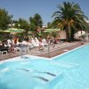Piscina con sedie a sdraio, ombrelloni e una palma vicina.