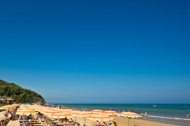 Spiaggia soleggiata con file di ombrelloni gialli e arancioni, mare calmo.