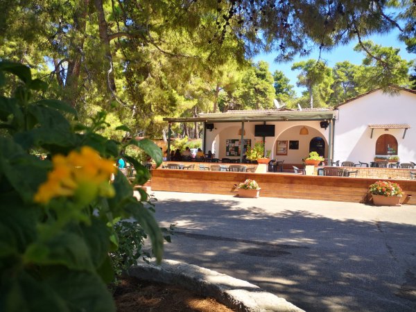 Un ristorante all'aperto circondato da alberi e fiori.