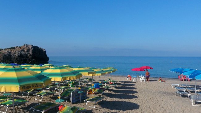 Spiaggia con file di ombrelloni giallo-verdi e mare calmo.