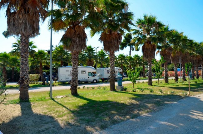 Area di sosta per camper circondata da palme.