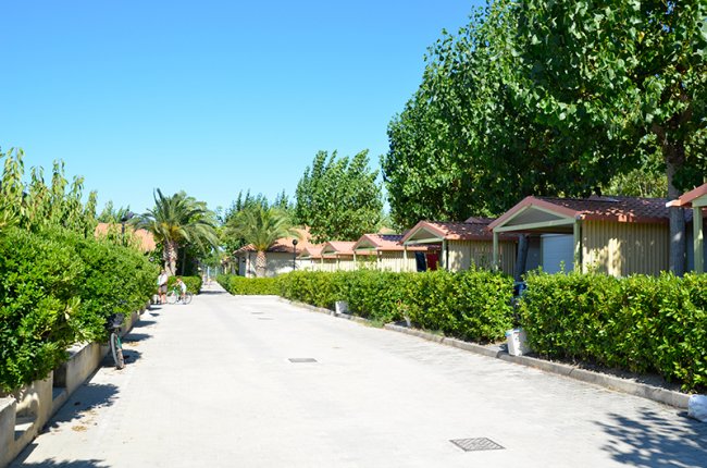 Viale alberato con bungalows su entrambi i lati, cielo sereno.