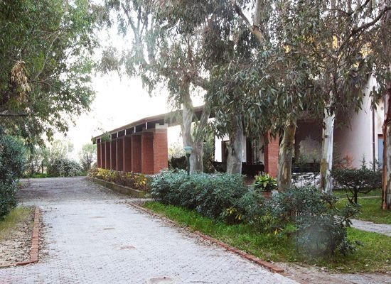 Sentiero tra gli alberi e un edificio.