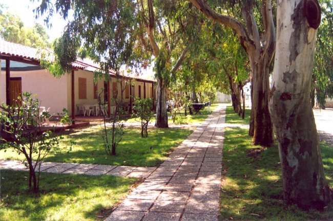 Vialetto tra case e alberi in giardino.