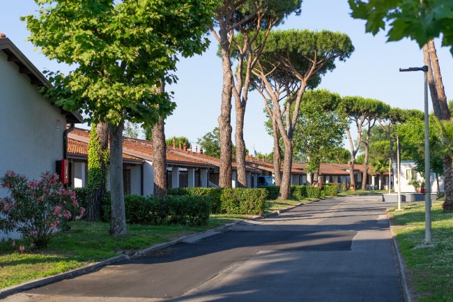 Un vialetto alberato con case basse e tetti rossi su un lato.