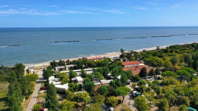 Vista aerea della spiaggia e del mare con una struttura immersa nel verde vicino alla riva.