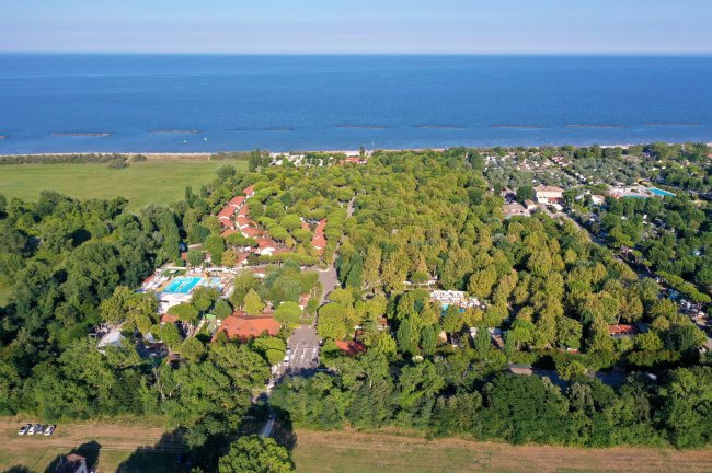Veduta aerea di un complesso immerso nel verde vicino al mare, con piscine visibili tra gli alberi.