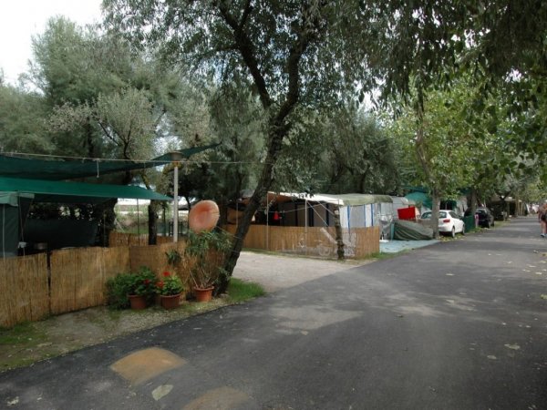 Strada in un campeggio con tende, vegetazione e auto parcheggiata.