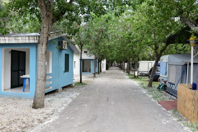 Bungalow colorati affiancati da alberi lungo un sentiero.