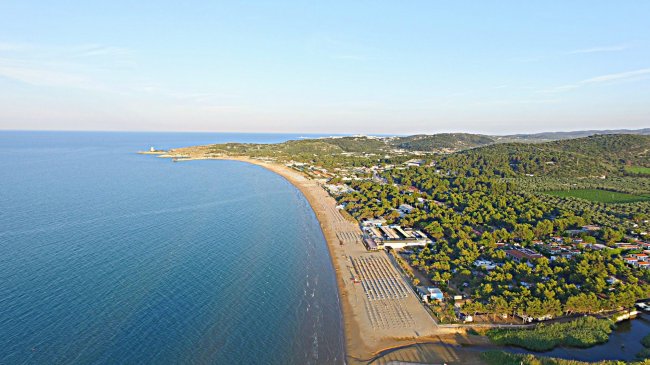 Una vista aerea di una lunga spiaggia sabbiosa accanto a una vasta area verde.
