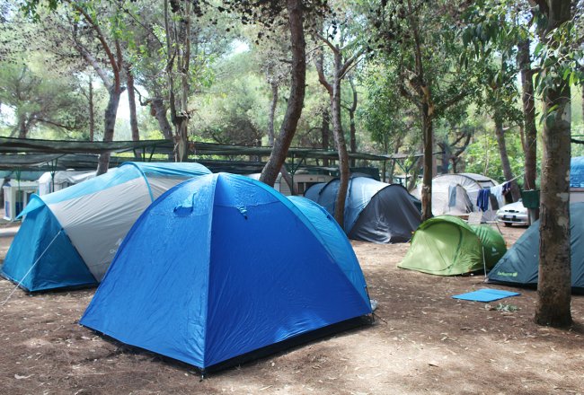 Tende blu e verdi montate tra alberi in un'area di campeggio.