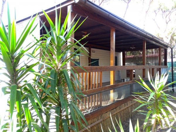 Veranda in legno con piante tropicali.