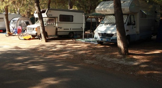 Camper parcheggiati tra gli alberi.