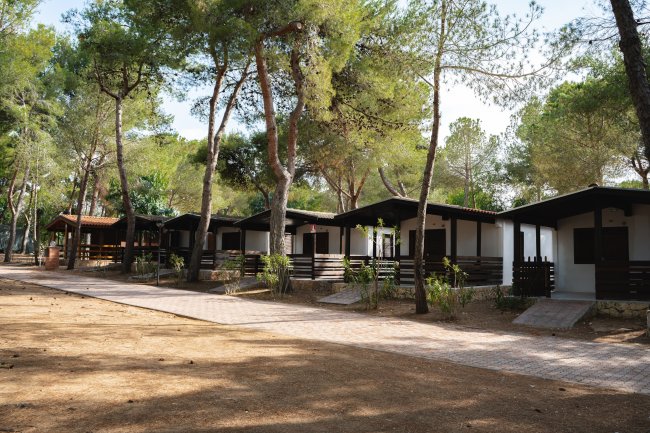 Bungalow tra gli alberi in un campeggio.