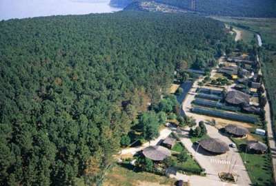 Vista aerea di una foresta con un villaggio e strade vicino alla costa.