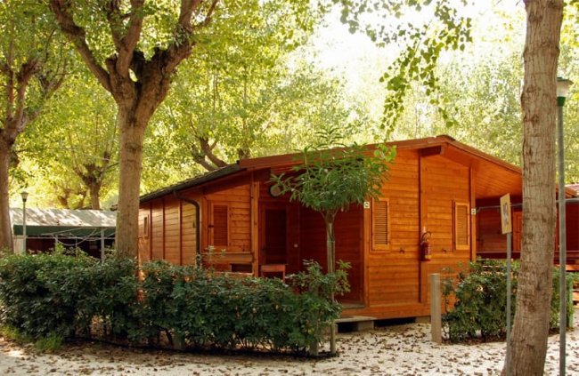 Chalet in legno tra alberi.