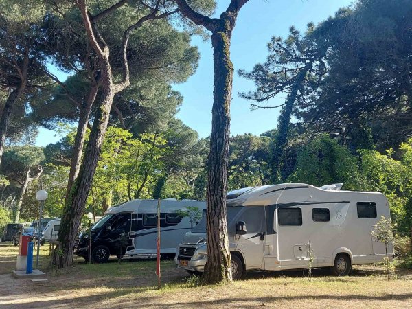 Camper grigi in un'area alberata.