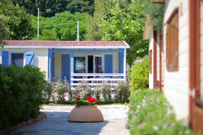 Un bungalow con persiane blu tra alberi e cespugli fioriti.