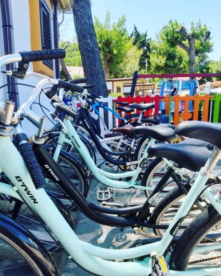 Biciclette azzurre parcheggiate in fila, davanti a una recinzione colorata, con alberi sullo sfondo.