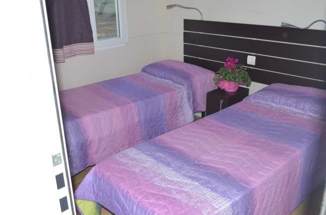 Due letti singoli con copriletti viola e rosa, una pianta su un comodino.