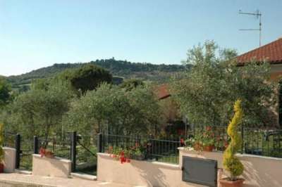 Vista del giardino con ulivi e colline sullo sfondo.